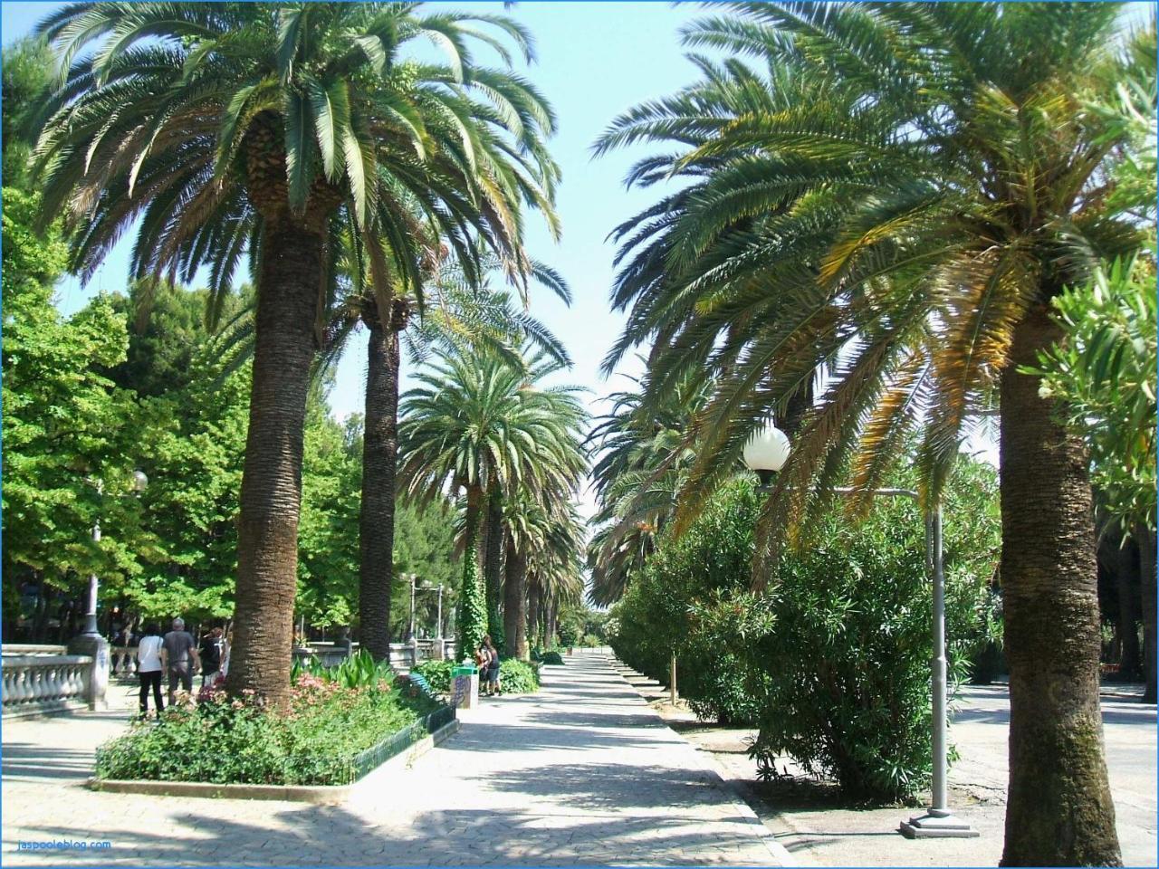 Hotel Royal San Benedetto del Tronto Exterior foto